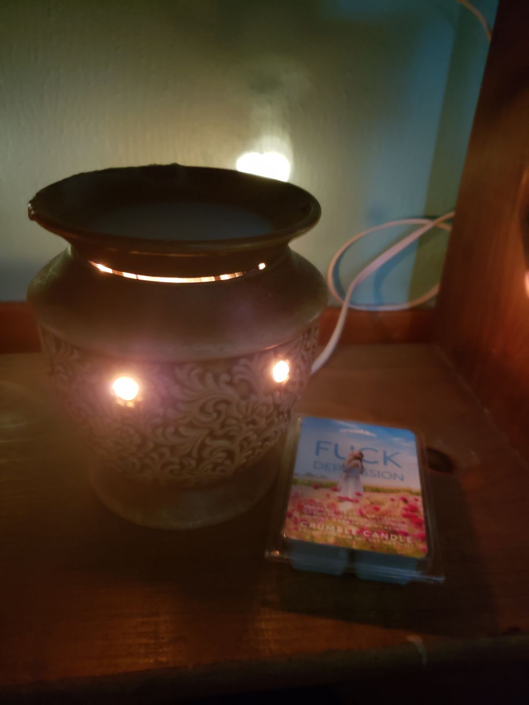 Customer photo review of Fuck Depression Wax Melts