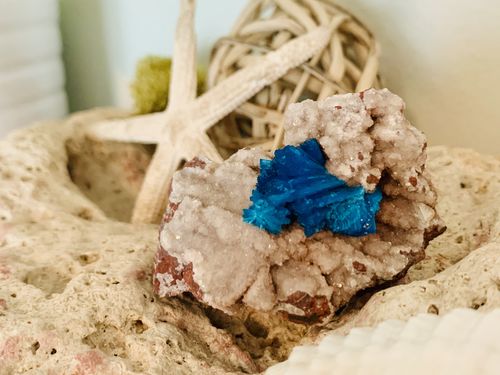 Customer photo review of @jskagallagher