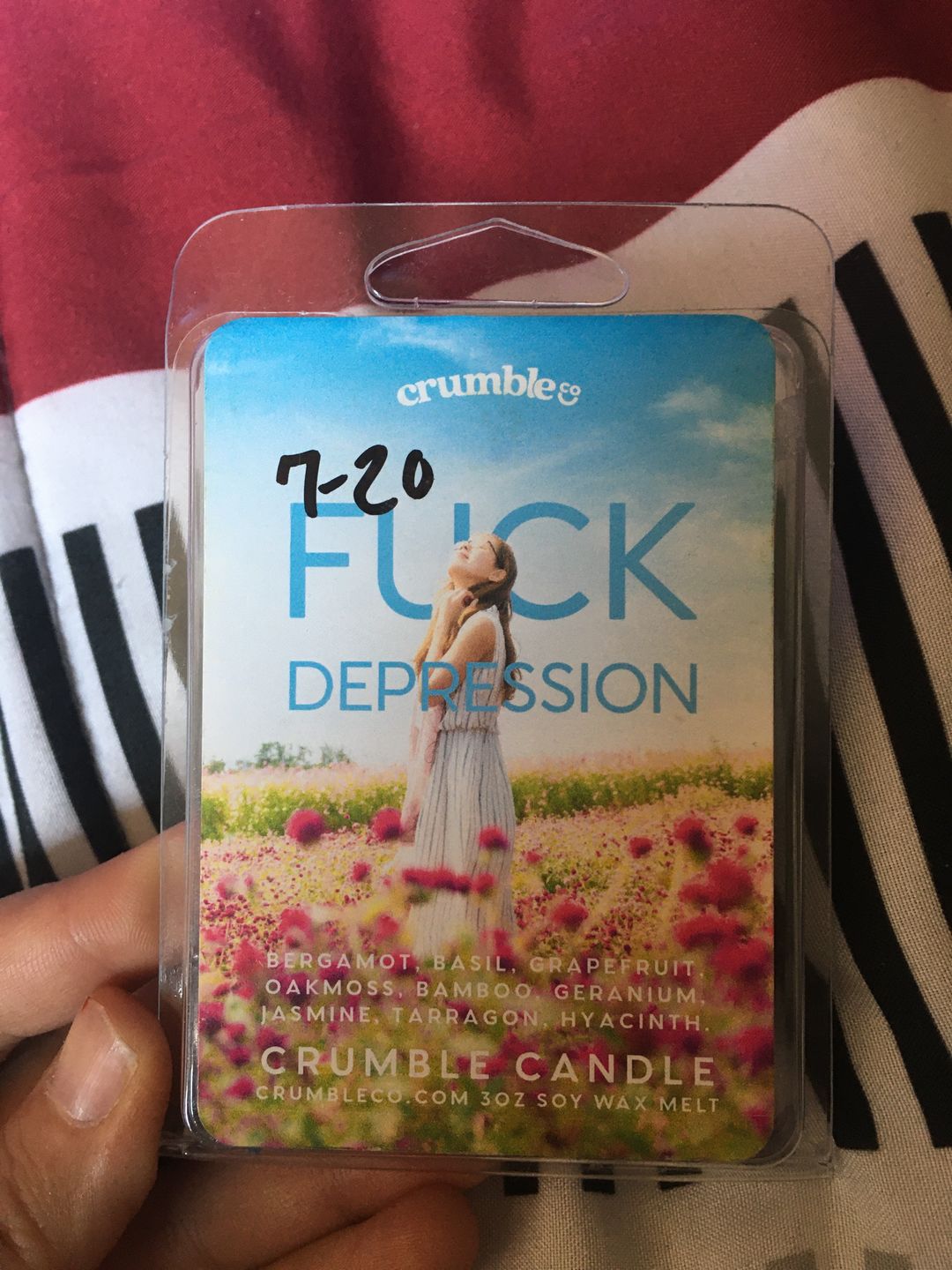 Customer photo review of Fuck Depression Wax Melts