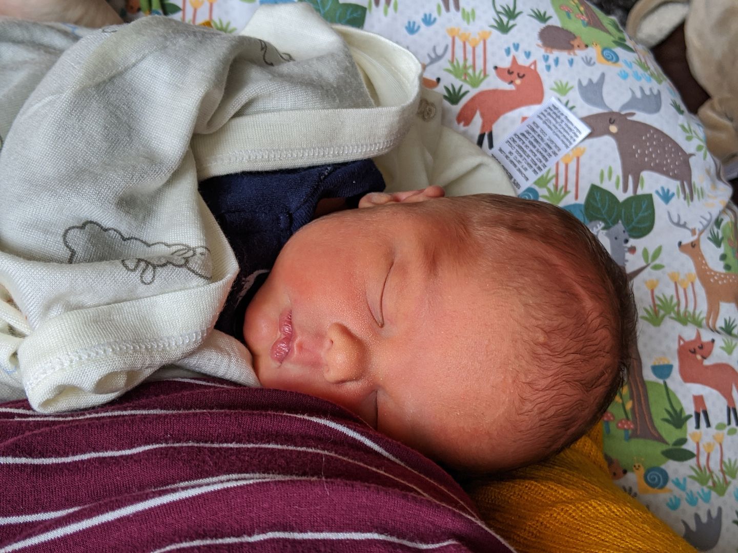 Customer photo review of Swaddle Blanket, Merino Wool, Newborn to 3 Months, Sheep