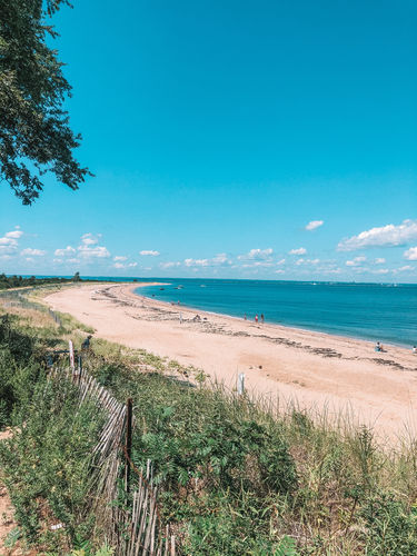 Customer photo review of VIBRANT DREAM LIGHTROOM PRESETS