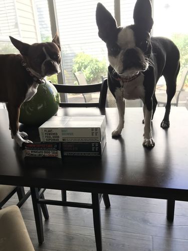 Customer photo review of OLD Mint Brownie - Box of 12 Superbars