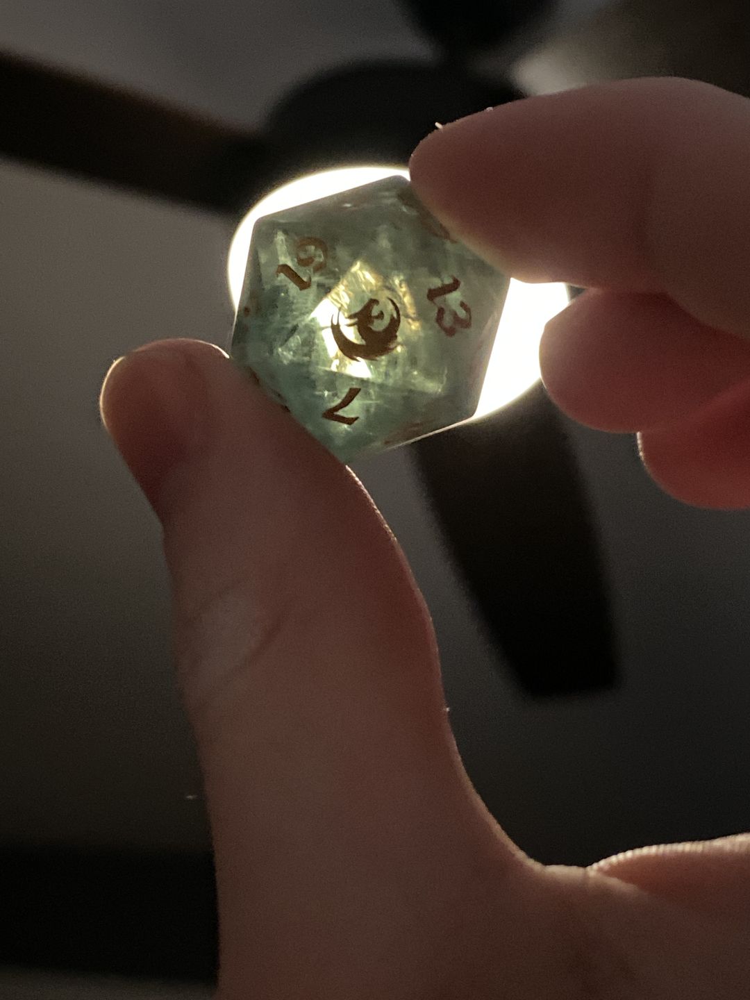 Customer photo review of URWizards Dnd Green Fluorite Gemstone Engraved Dice Set Dragon Style