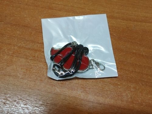 Customer photo review of Akatsuki - Necklace
