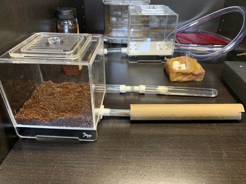Customer photo review of AntKit Acrylic Arena 1000
