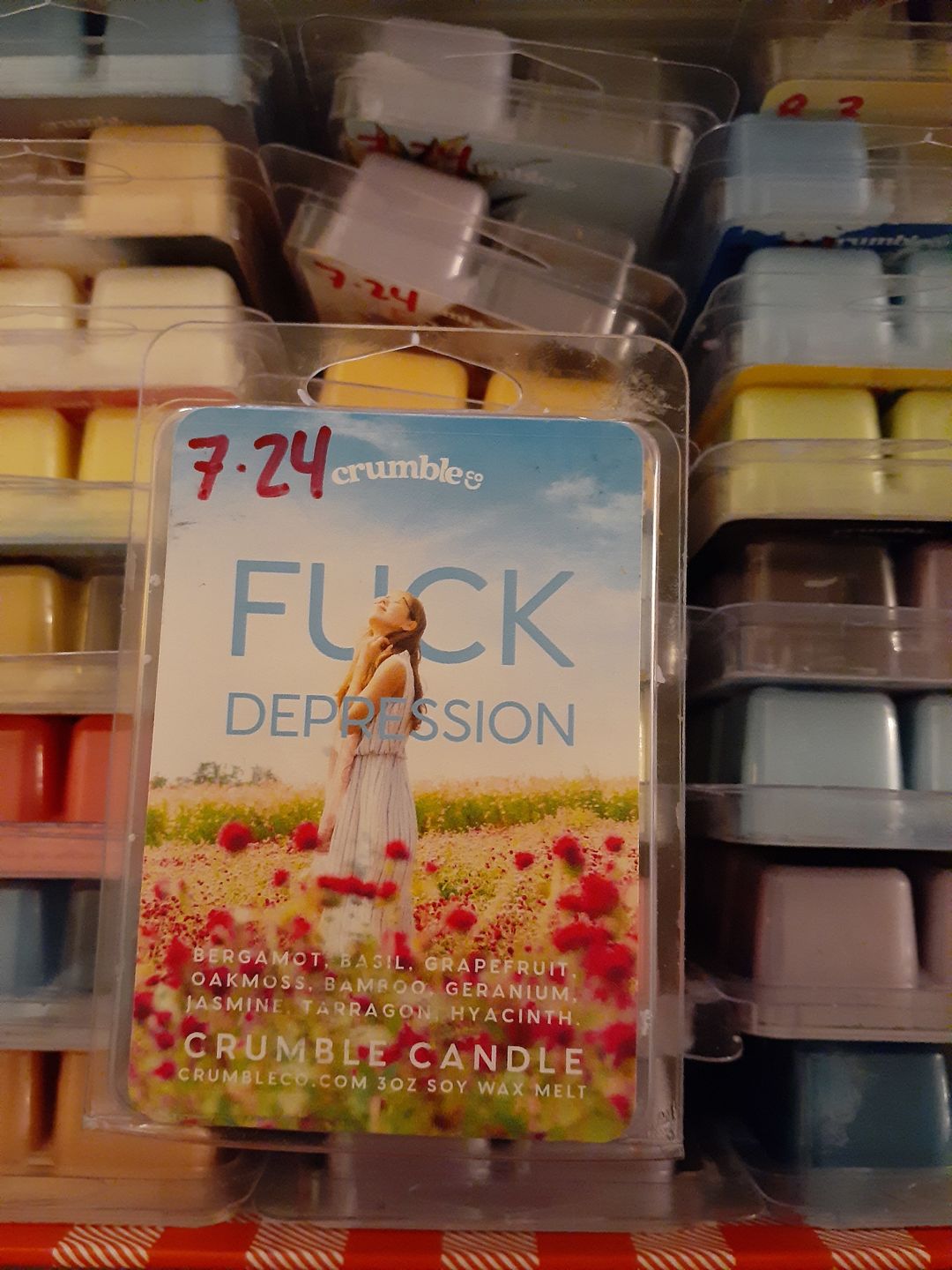 Customer photo review of Fuck Depression Wax Melts