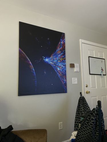 Customer photo review of Big Difference Canvas Set