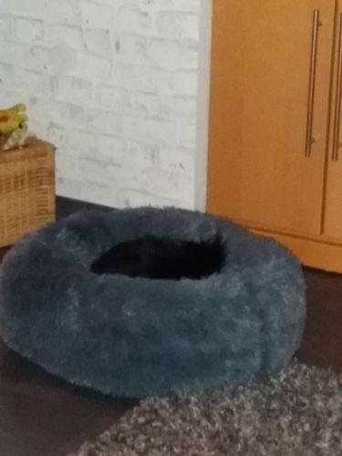 Customer photo review of FluffyBed™ - Gemütliches Haustierbett
