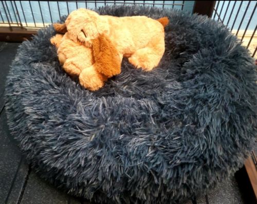 Customer photo review of Calming Dog Bed with Removable Cover