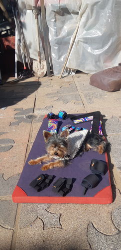 Customer photo review of ORX Retro Ankle Weight