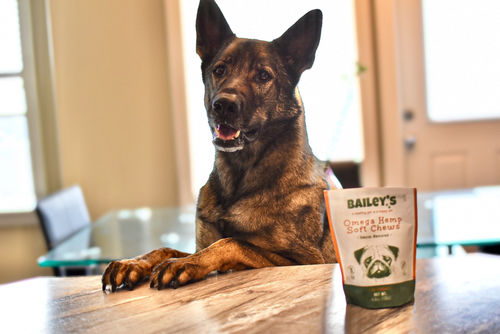 Customer photo review of Bailey's Omega Hemp Soft Chews - Bacon Flavored- 30 Count Bag