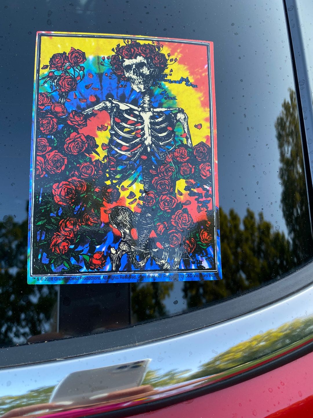 Customer photo review of Grateful Dead Tie Dye Bertha Sticker