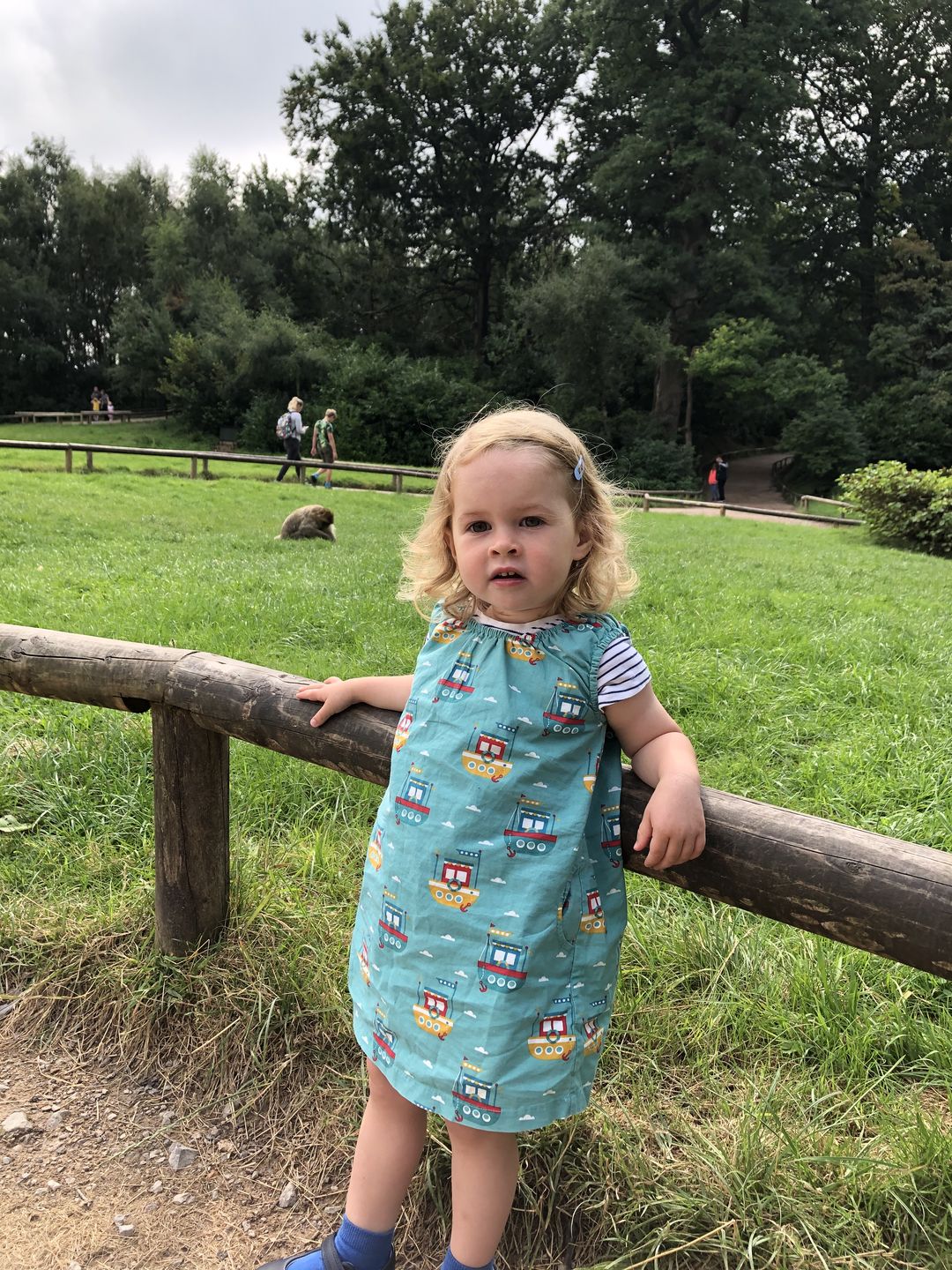 Customer photo review of Lost At Sea Twirl Dress