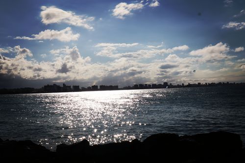 Customer photo review of PDR Fade Blade