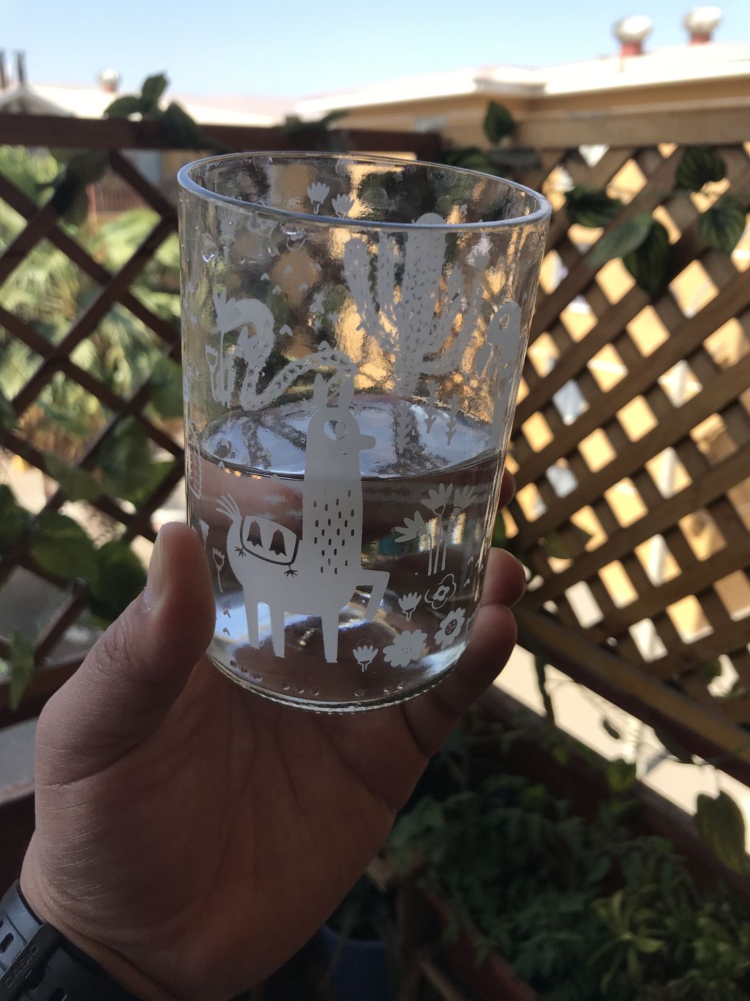Customer photo review of Flora & Fauna