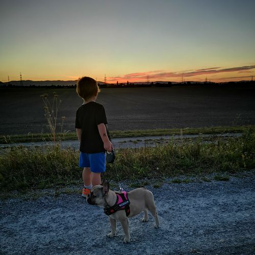 Customer photo review of Pfotenlove - Anti-Zug Personalisiertes Hundegeschirr – Premium Edition