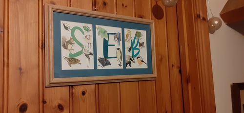 Customer photo review of Animal Alphabet