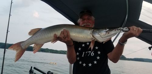 Customer photo review of 1776 Stars Mens Apparel