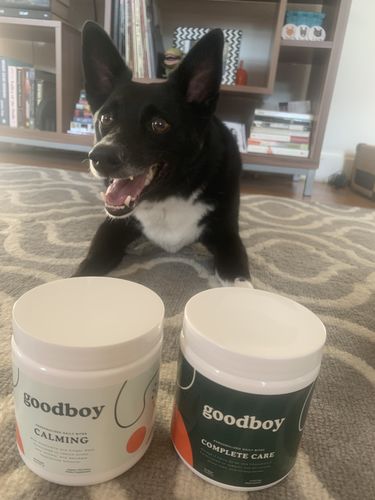 Customer photo review of Calm, Cool, & Collected