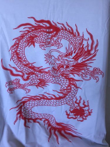 Customer photo review of T-Shirt Dragon<br> Femme