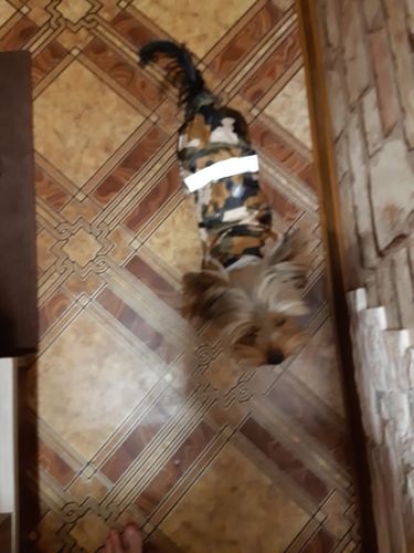 Customer photo review of Petyfy ™ Reflective Raincoat