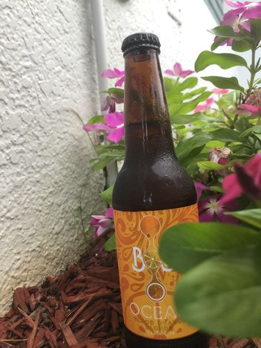 Customer photo review of Custom Six Pack