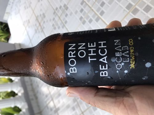 Customer photo review of Blonde Ale
