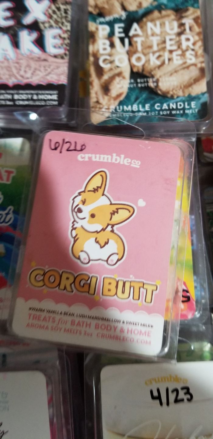 Customer photo review of Corgi Butt Wax Melts