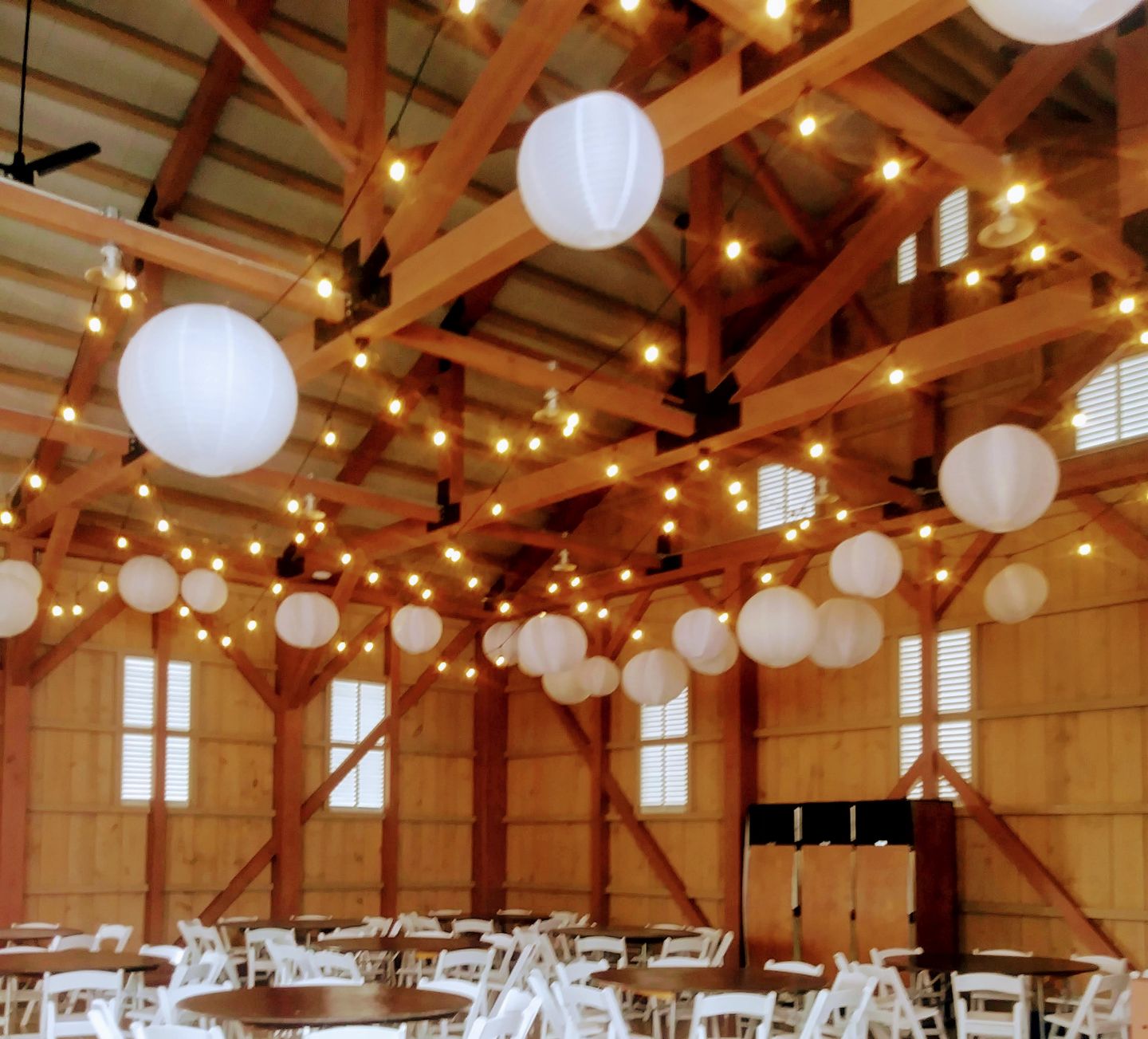 Customer photo review of 6-Pack 24" White Parallel Ribbing Round Paper Lanterns