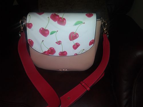 Customer photo review of Bake-A-Bag Cherries & Whip Cream Flap