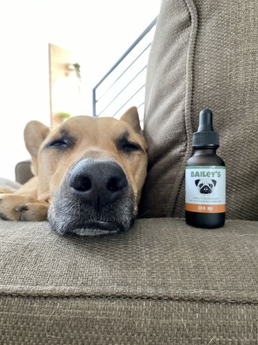Customer photo review of Bailey's Full Spectrum Hemp Oil For Dogs w/ 300MG Naturally Occurring CBD