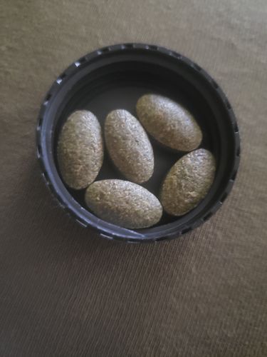 Customer photo review of NOT YOUR MAMA'S GREENS- Organic Superfood Formula Tablets (45 Day Supply/ .64 Cent A Day) CLICK HERE