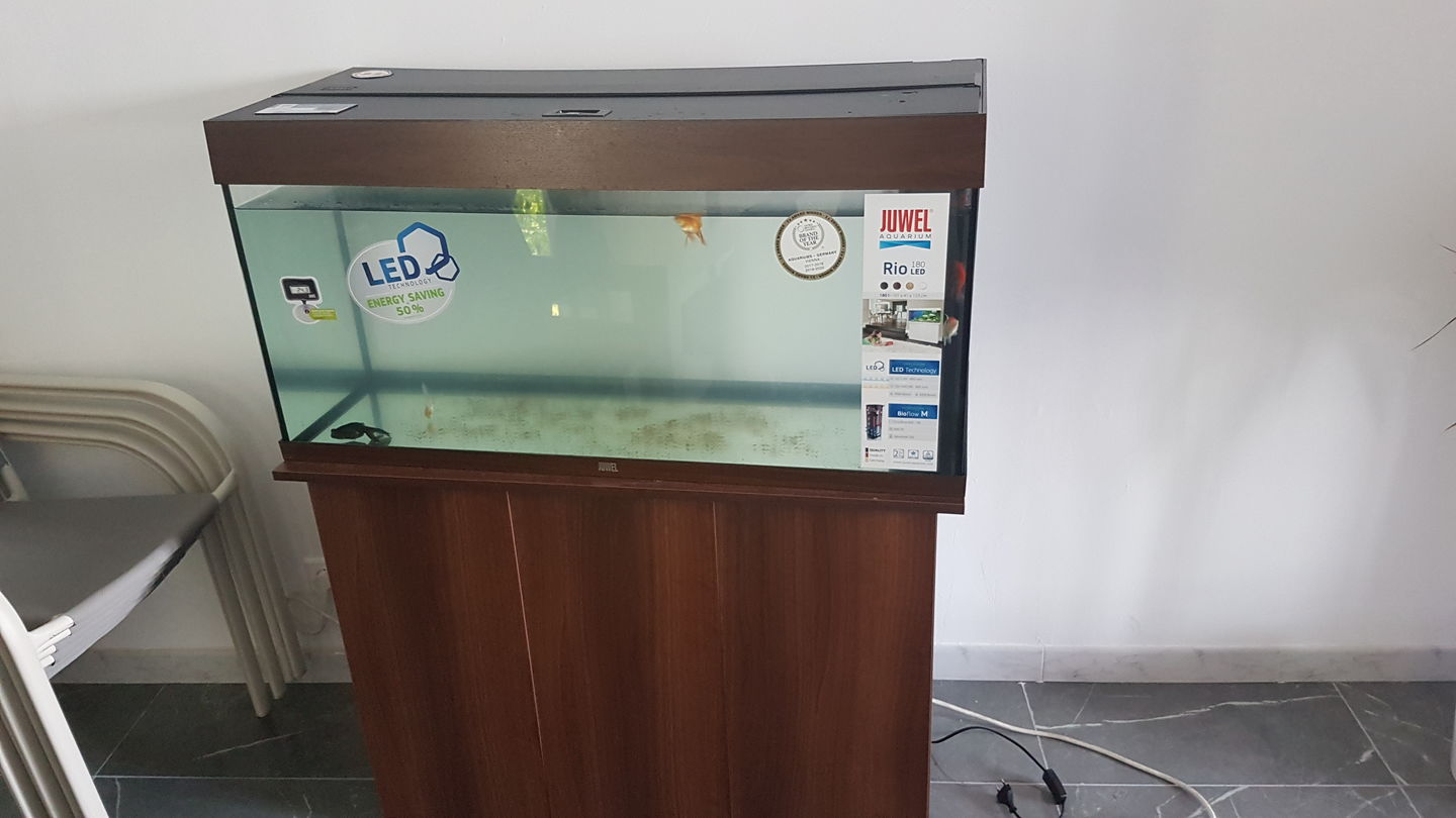 Customer photo review of Aquarium Rio 180 LED Brun Équipé JUWEL - 180L