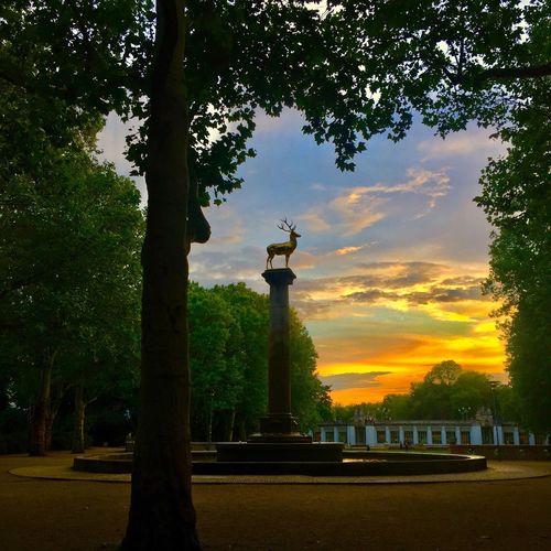 Customer photo review of Omega 3 Algenöl