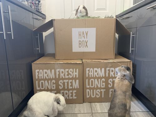 Customer photo review of Timothy Hay Box
