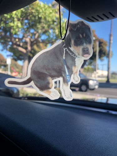 Customer photo review of Custom Air Freshener