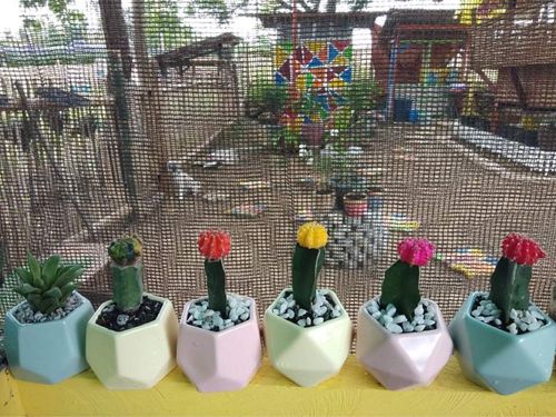 Review photo 1 by Jovelyn S.