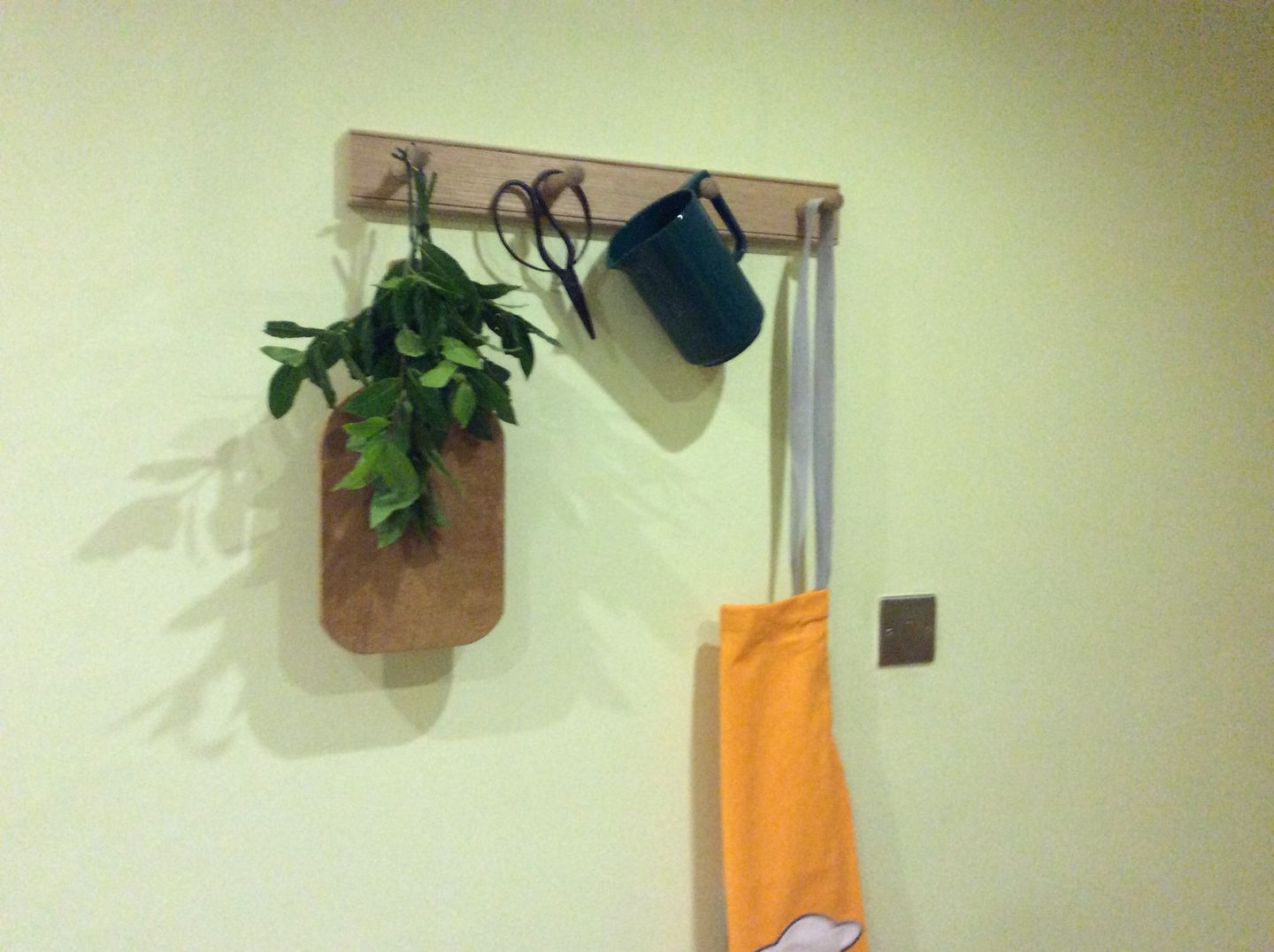 Customer photo review of Oak Shaker Peg Rail