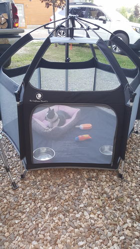 Customer photo review of Pop N' Go® Playpen