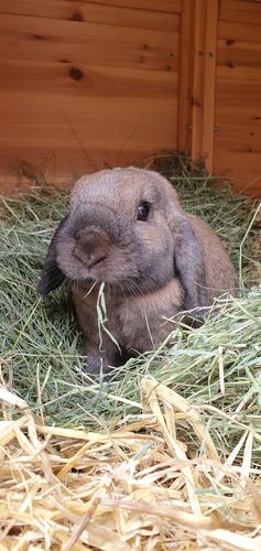 Customer photo review of 50/50 Hay Box
