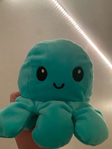Customer photo review of Moody Octopus Plush