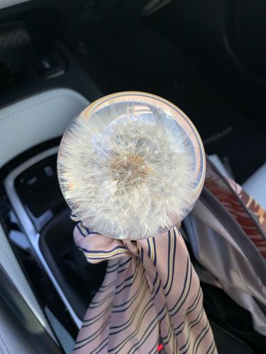 Customer photo review of Dandelion Crystal Bubble Shift Gear Knob