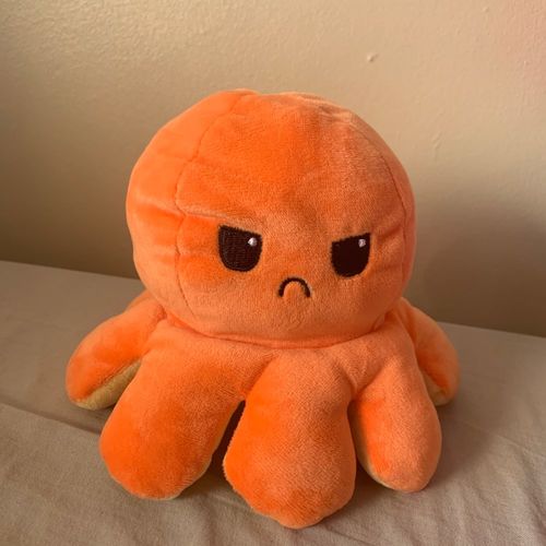 Customer photo review of Moody Octopus Plush