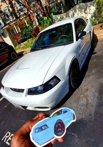 Customer photo review of Custom Air Freshener