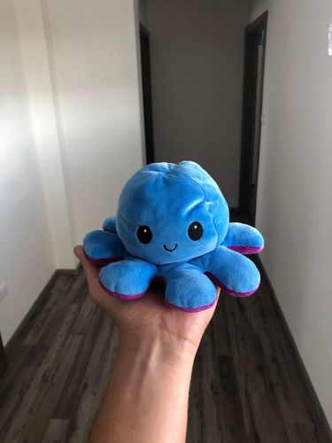 Customer photo review of Moody Octopus Plush