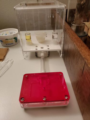 Customer photo review of AntKit Acrylic Nest Series 4 (Size 2)