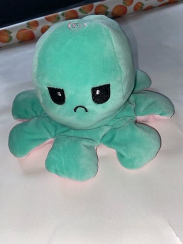 Customer photo review of Moody Octopus Plush