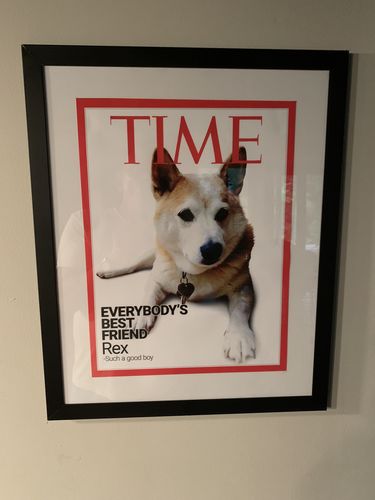 Customer photo review of Posing Pig Custom Print