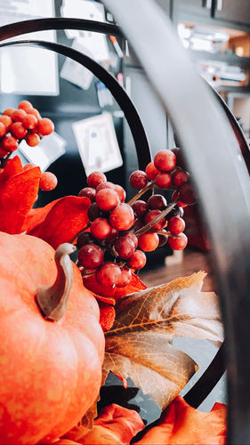 Customer photo review of MASTER COLLECTION MOBILE (12 PACKS)