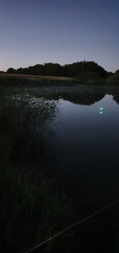 Customer photo review of 10g Smart Fishing Float